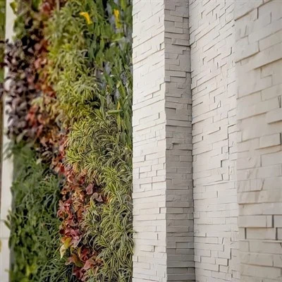 35 vienetų akmens lauko sodo peizažai